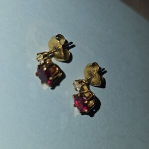Elegant Gold and Red Earrings